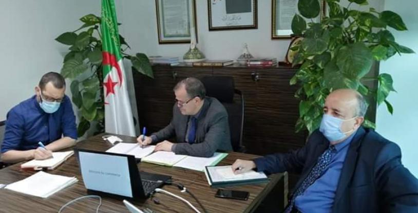 النسخة المصغرة