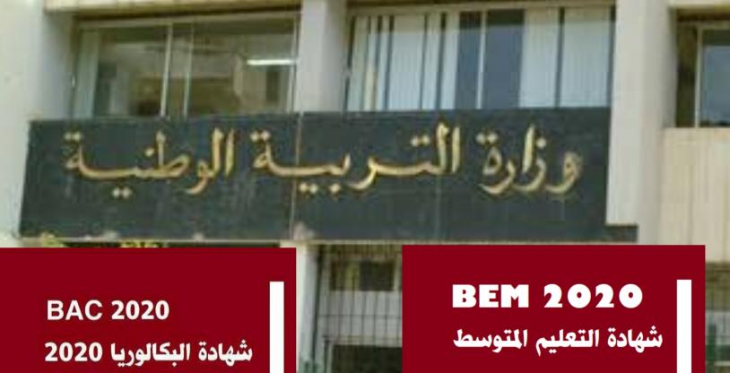 النسخة المصغرة