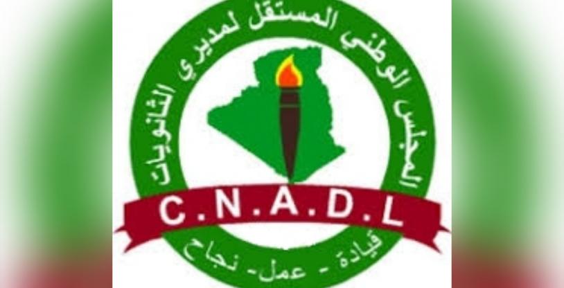 النسخة المصغرة