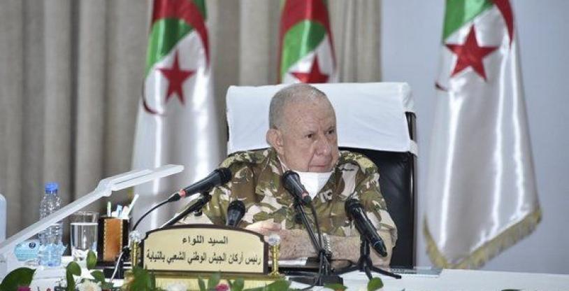 النسخة المصغرة