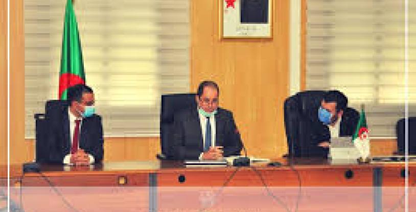 النسخة المصغرة