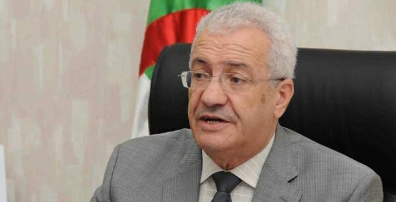 النسخة المصغرة