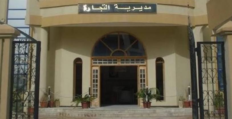 النسخة المصغرة
