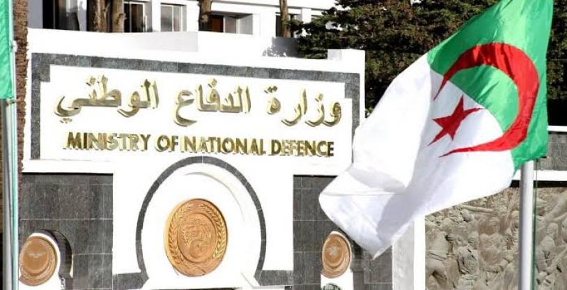 النسخة المصغرة