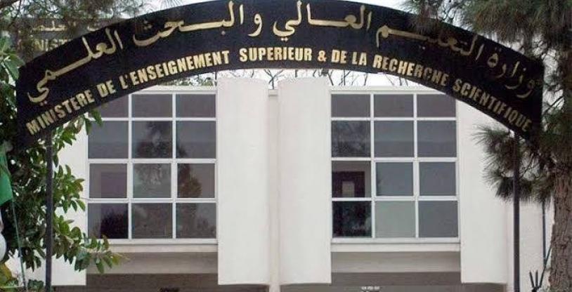 النسخة المصغرة