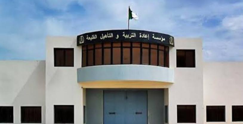 النسخة المصغرة