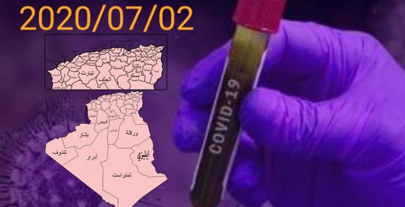 النسخة المصغرة