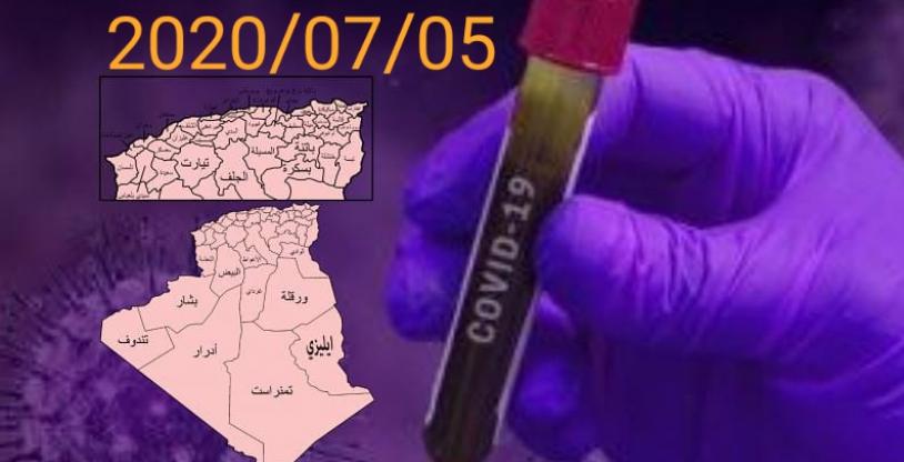 النسخة المصغرة