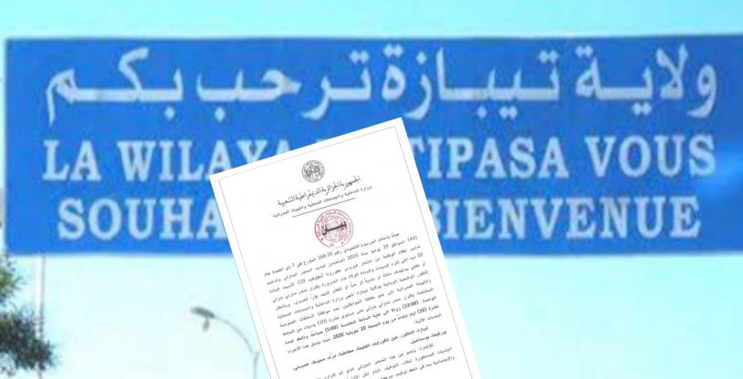 النسخة المصغرة