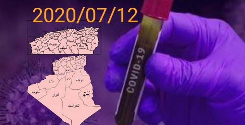 النسخة المصغرة