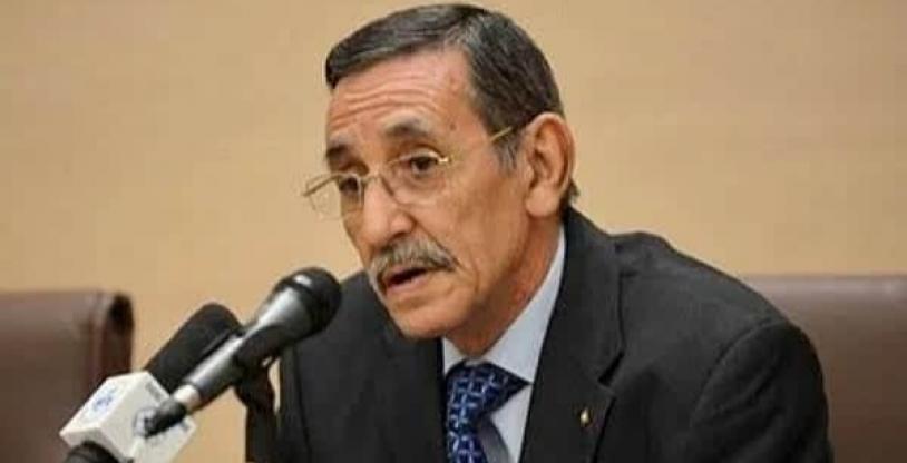 النسخة المصغرة