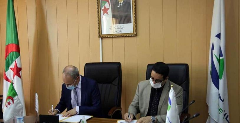 النسخة المصغرة