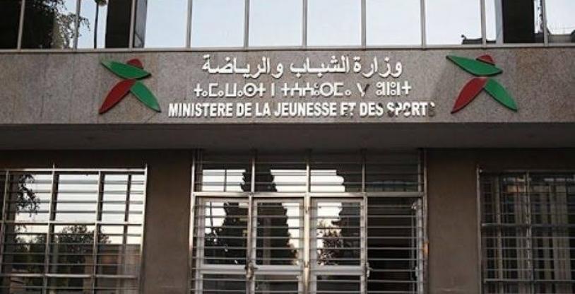 النسخة المصغرة