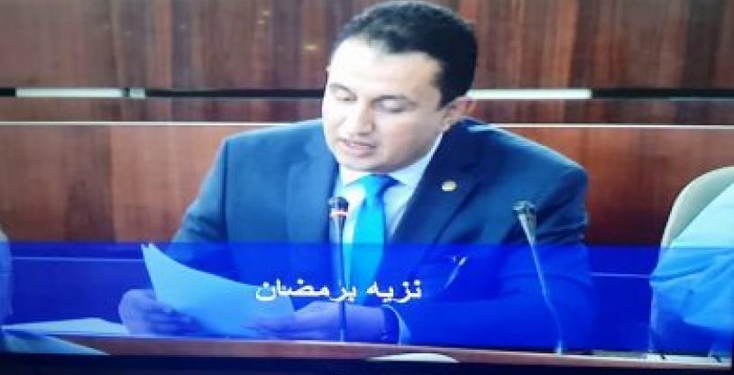 النسخة المصغرة
