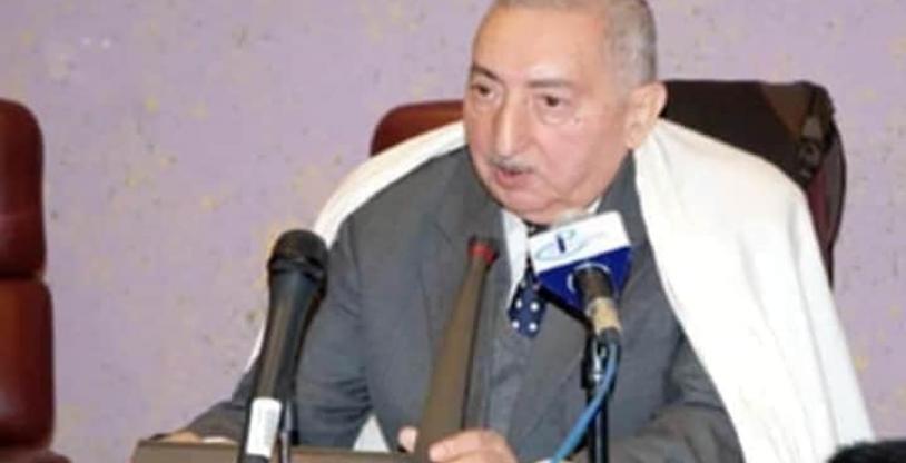 النسخة المصغرة