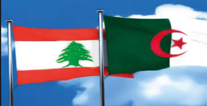 النسخة المصغرة