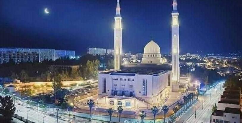النسخة المصغرة