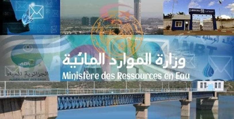 النسخة المصغرة