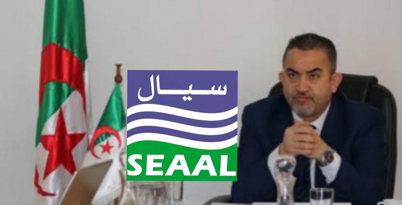 النسخة المصغرة