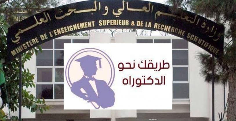 النسخة المصغرة