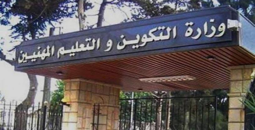 النسخة المصغرة
