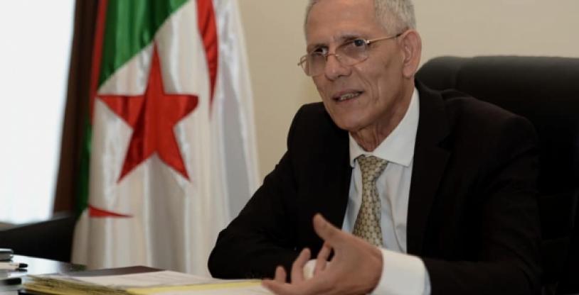 النسخة المصغرة