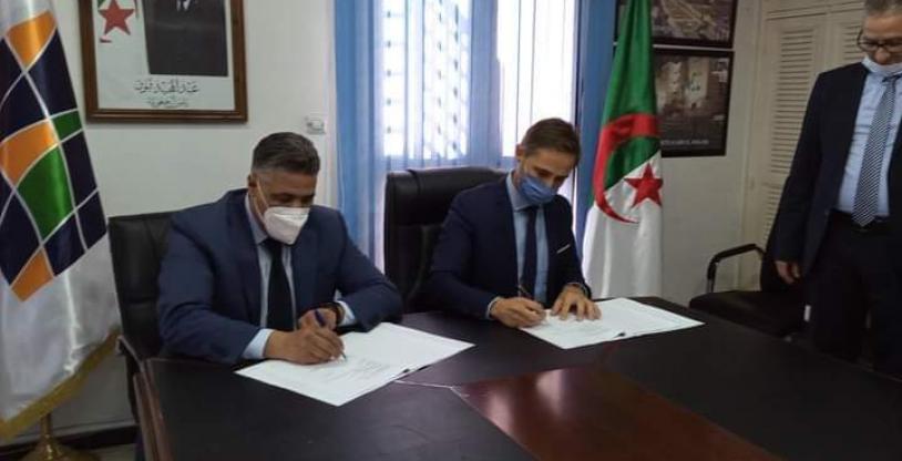 النسخة المصغرة