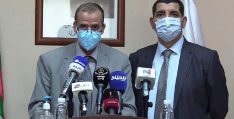 النسخة المصغرة