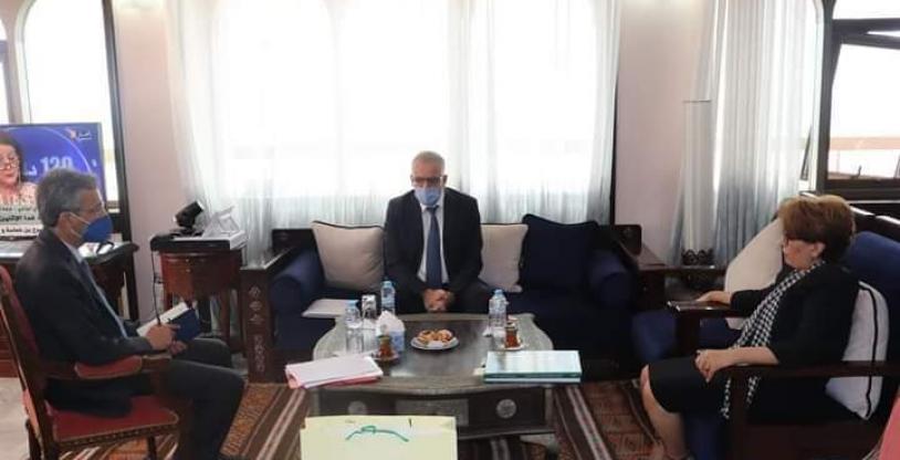 النسخة المصغرة