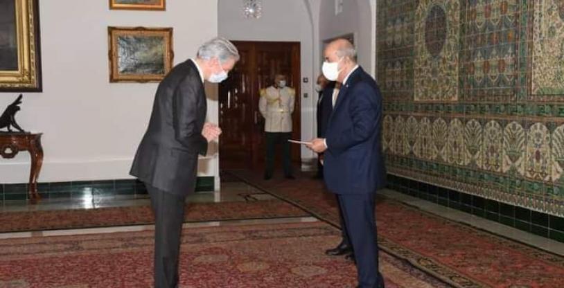 النسخة المصغرة