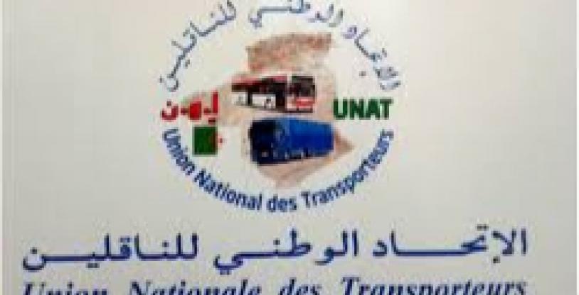 النسخة المصغرة