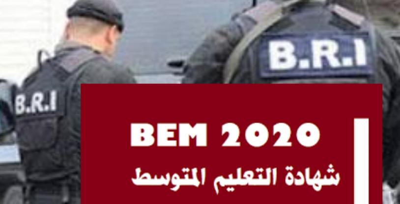 النسخة المصغرة