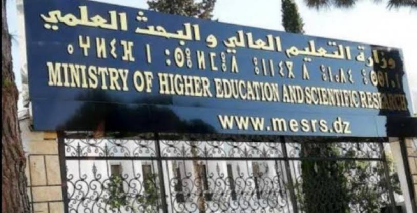 النسخة المصغرة