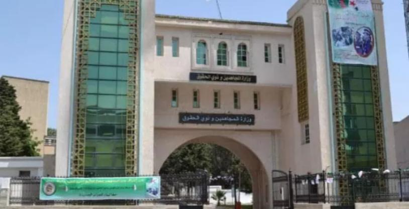 النسخة المصغرة