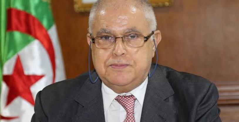 النسخة المصغرة