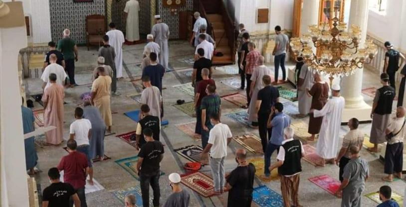 النسخة المصغرة