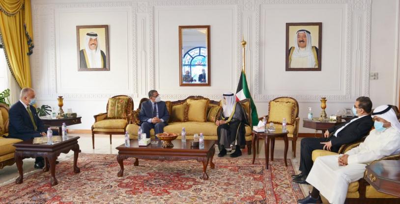النسخة المصغرة