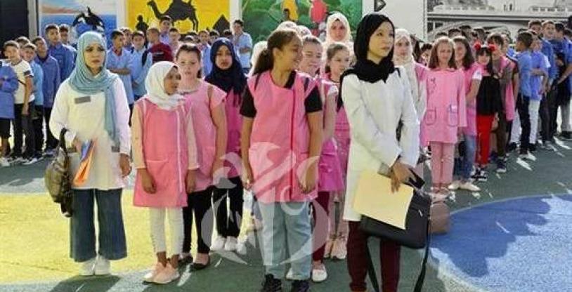 النسخة المصغرة