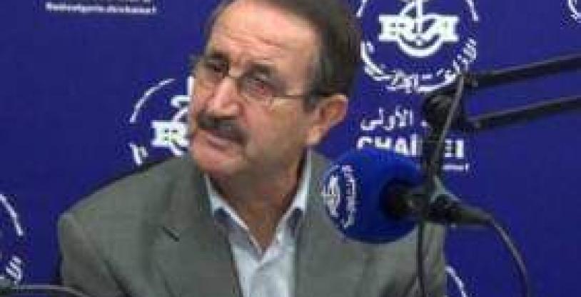 النسخة المصغرة