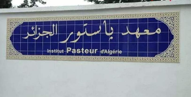 النسخة المصغرة