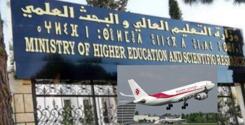 النسخة المصغرة