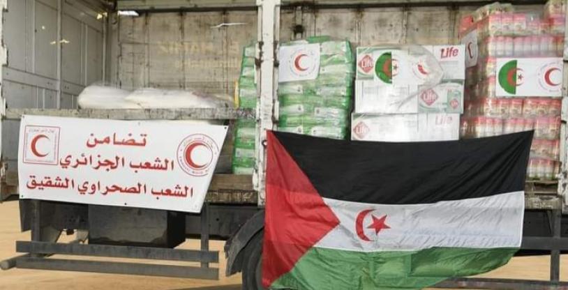 النسخة المصغرة
