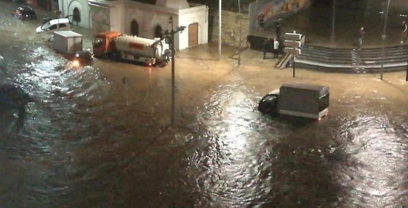 النسخة المصغرة