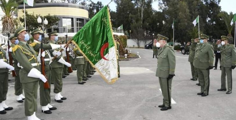 النسخة المصغرة