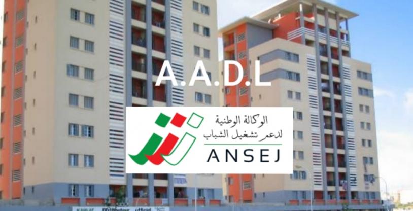 النسخة المصغرة