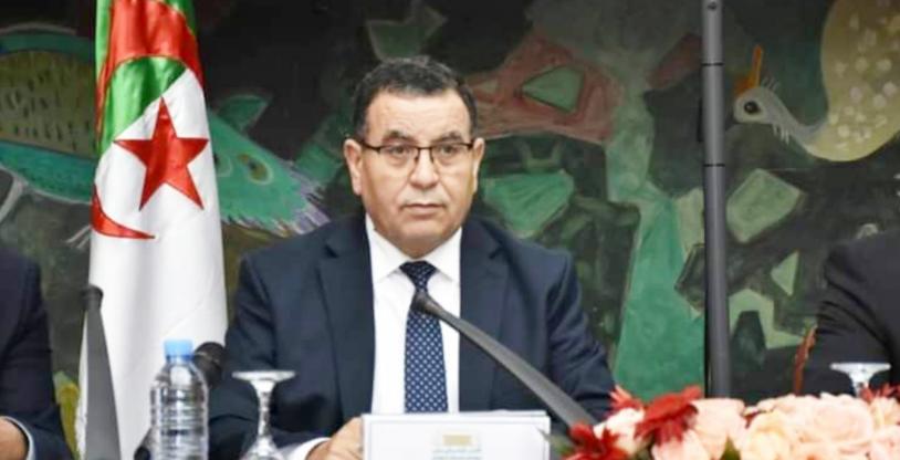النسخة المصغرة