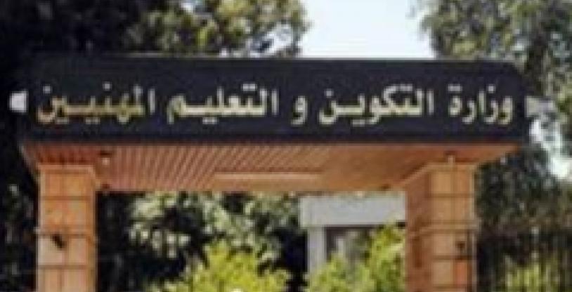 النسخة المصغرة