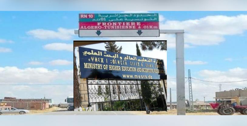 النسخة المصغرة
