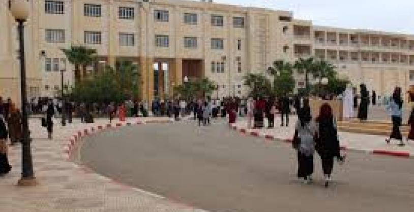 النسخة المصغرة