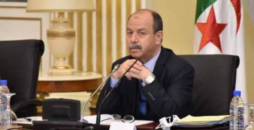 النسخة المصغرة